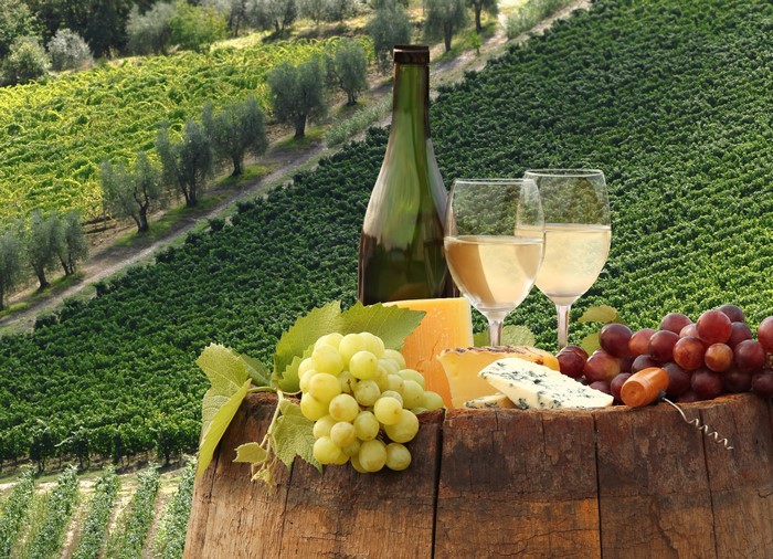 Wine bottle, glasses, cheese, and grapes in a vineyard