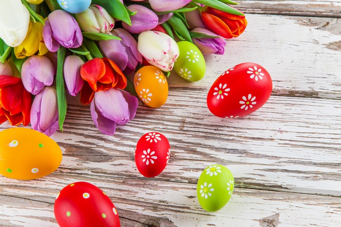 Tulips and Easter Eggs on a Wooden Surface