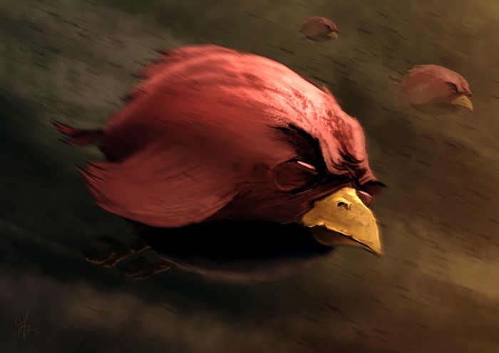 Angry Birds in Flight