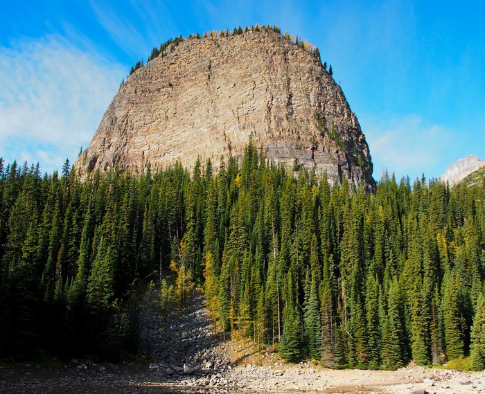 Mountain peak above a dense forest in Banff National Park, Canada