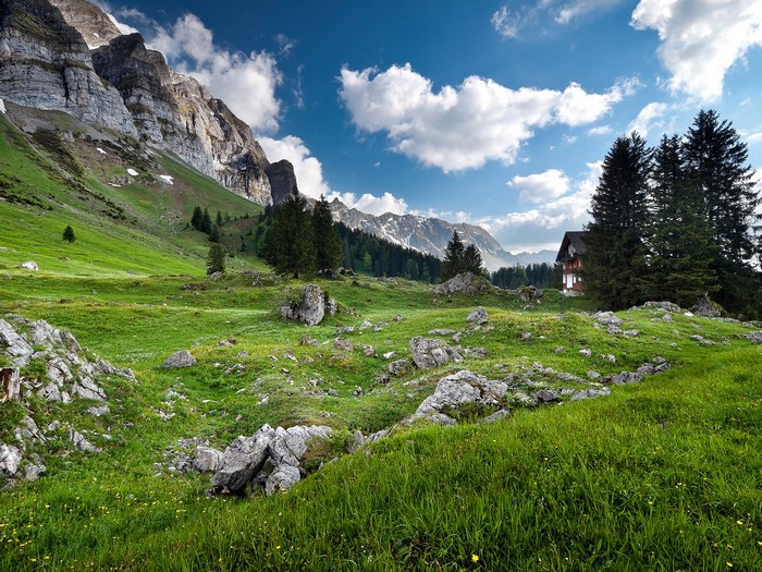 Mountain landscape with a house and trees