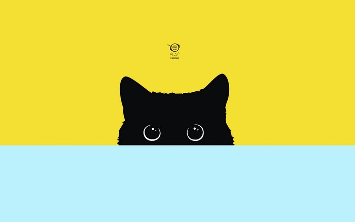 Black cat peeking over a blue surface