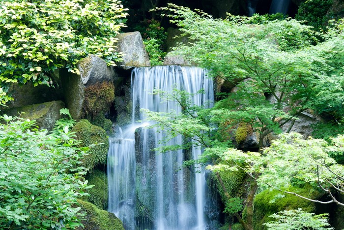 Waterfall cascading over mossy rocks surrounded by greenery