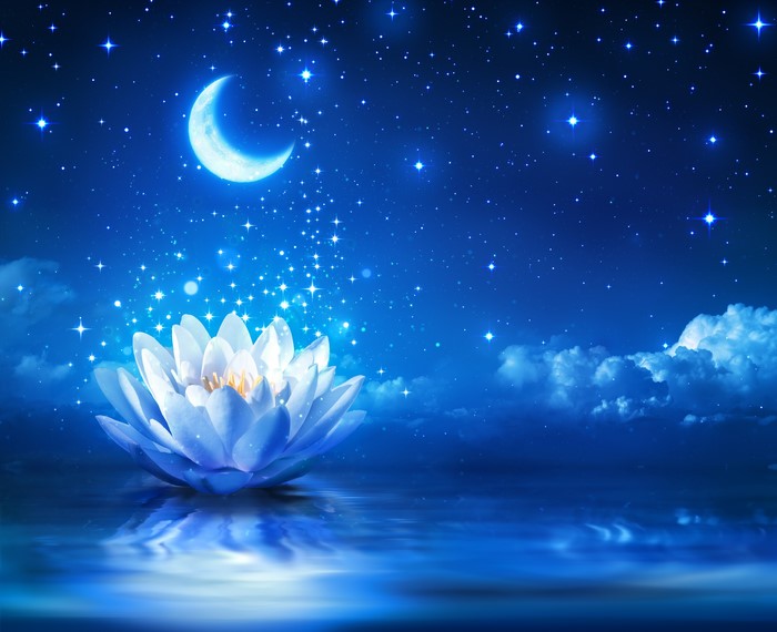 Lotus flower under crescent moon and stars