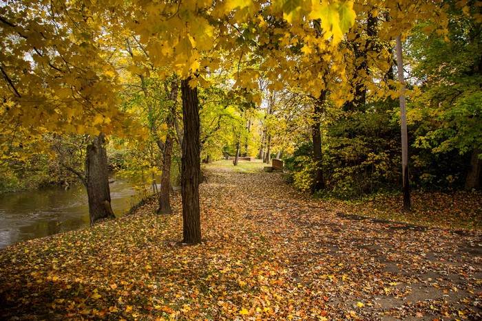 Park path covered in autumn leaves by a river