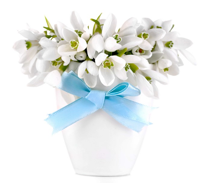 Bouquet of Snowdrops in a White Vase with Blue Ribbon