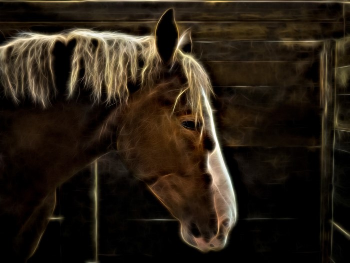 4K Electric Horse Head