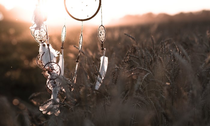 Dreamcatcher with feathers in a wheat field at sunset