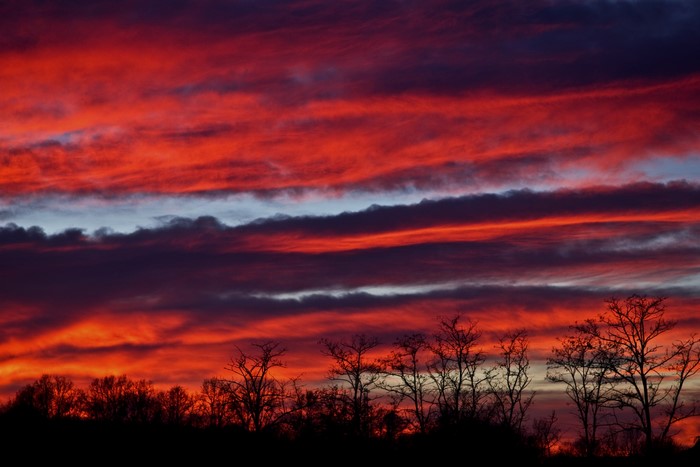 Fiery sunset clouds over silhouetted trees