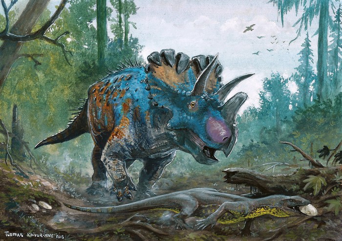 Wendiceratops Dinosaur and Lizard with Egg in Forest