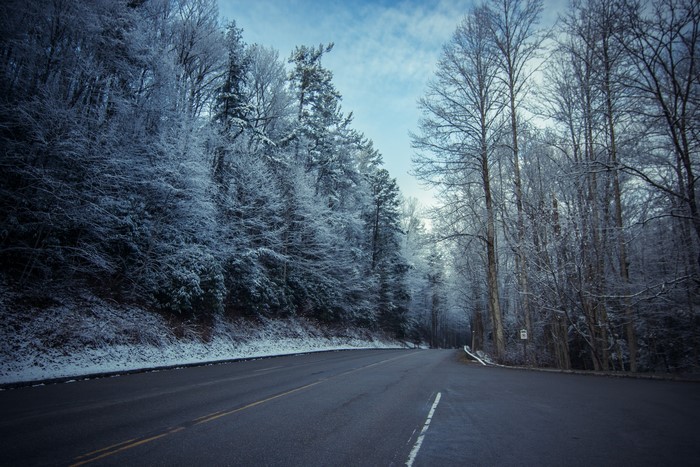 Road through a snow-covered forest in winter