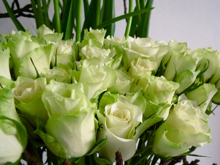 Bouquet of white roses with green tips
