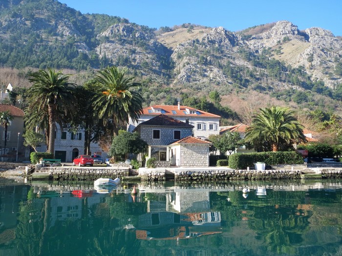 Houses and palm trees by the sea in Kotor, Montenegro