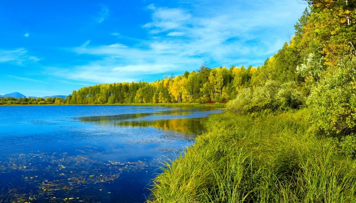 Lake and forest scenery with blue sky