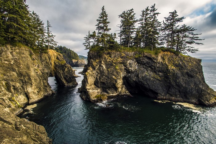 Rocky Coastline with Sea Stacks and Pine Trees