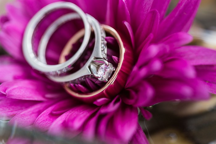 Wedding rings on a pink flower