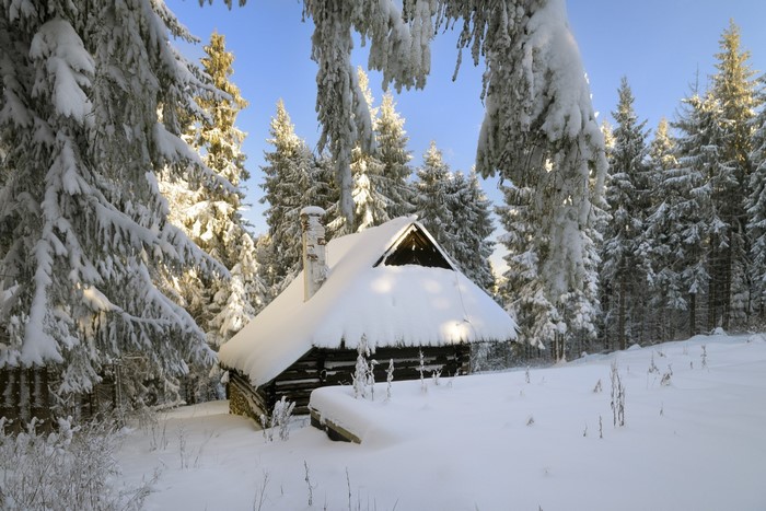 Snow-covered cabin in a winter forest