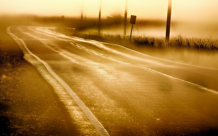 Road in fog with power lines