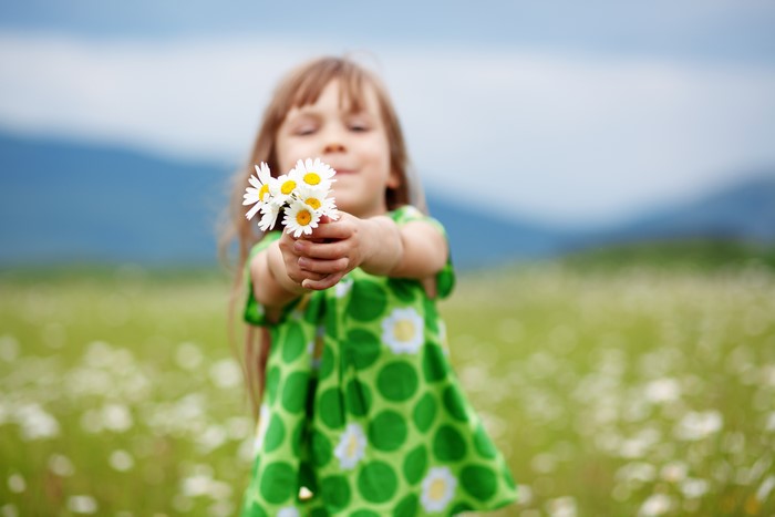 Little girl in a field of camomiles