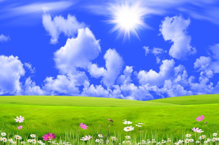 Bright Sunny Sky Over Lush Green Grasslands
