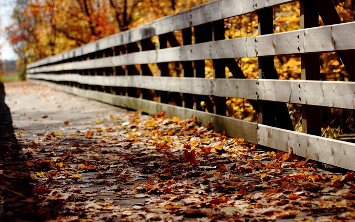 Wooden bridge with autumn leaves and fence