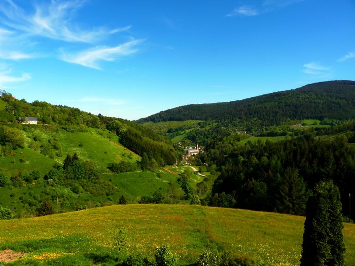 Green valley with village and forest in Alsace, France
