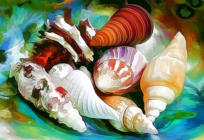 A collection of colorful seashells