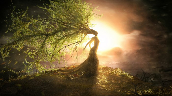Tree woman with branches and sunset