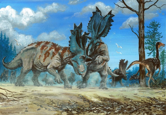 Utahceratops dinosaurs fighting in prehistoric landscape
