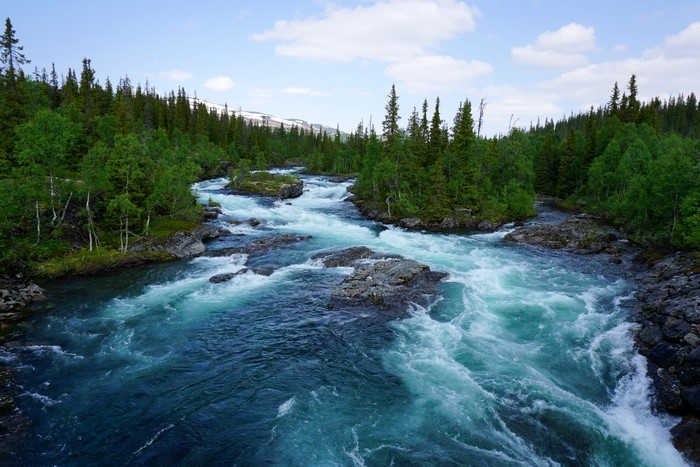 River flowing through a forest in Norway