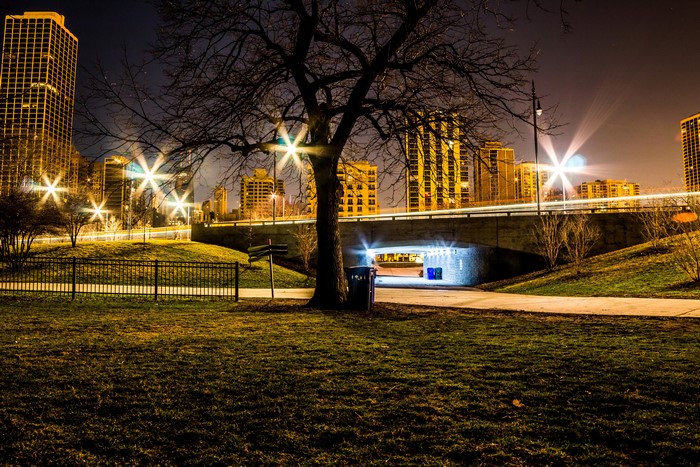 Chicago City Night Park with Bridge and Buildings