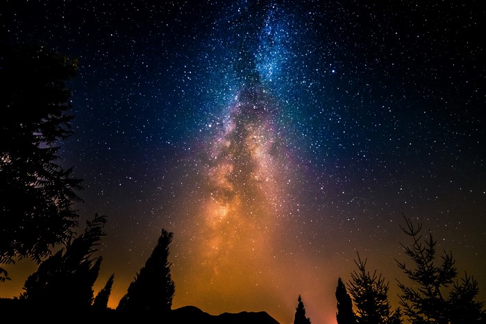 Milky Way galaxy over silhouetted trees