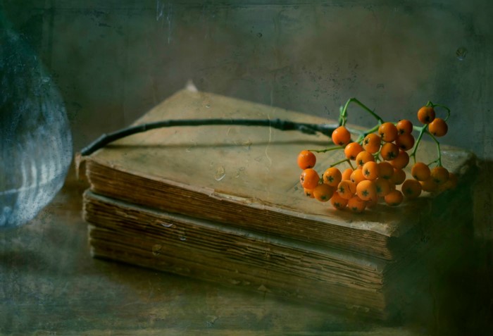 Old books with rowan berries and a branch