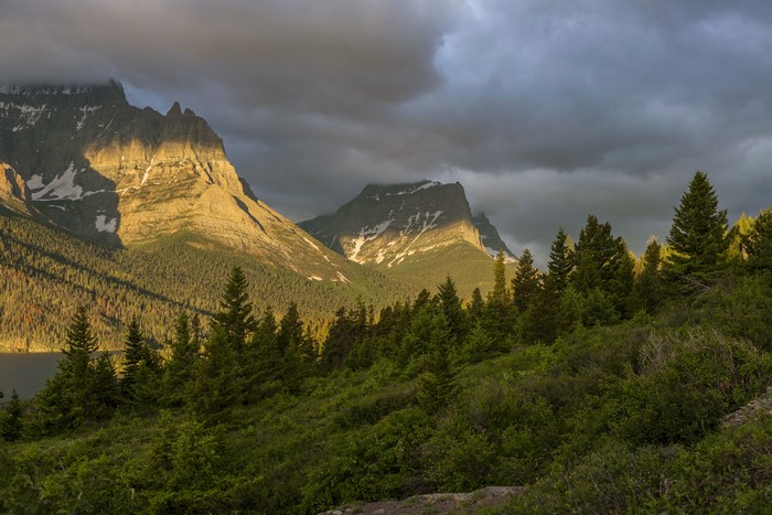 Glacier National Park Montana Mountains and Forests
