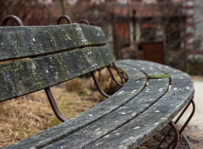 Curved wooden park bench with metal frame