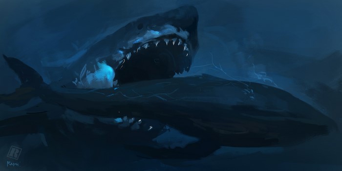 Megalodon Shark Underwater Ancient Predator