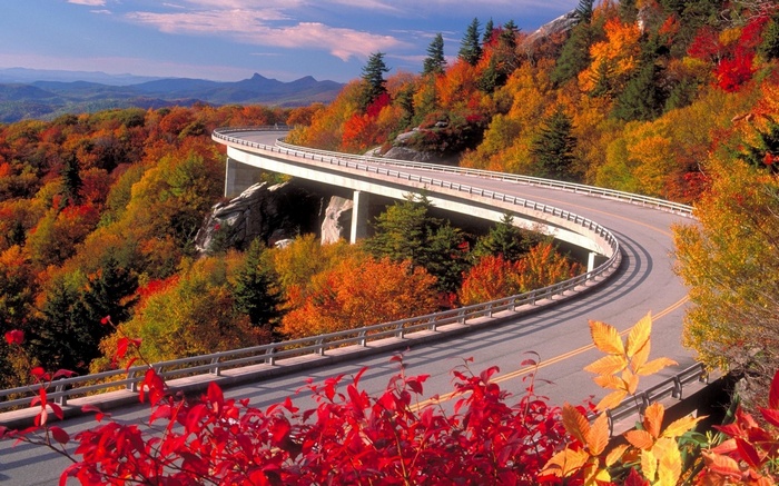 Winding road bridge over autumn forest