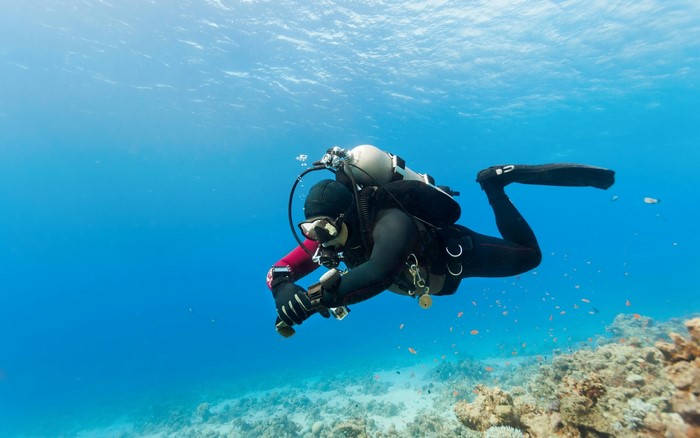 Scuba diver exploring a coral reef underwater