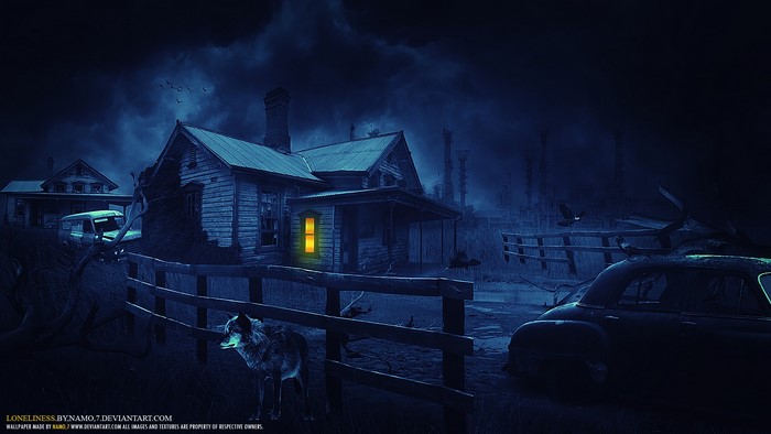 A wolf stands near a dilapidated house at night