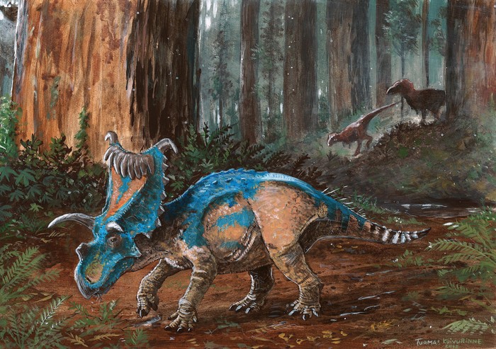 Kosmoceratops dinosaur in a forest by Tuomas Koivurinne