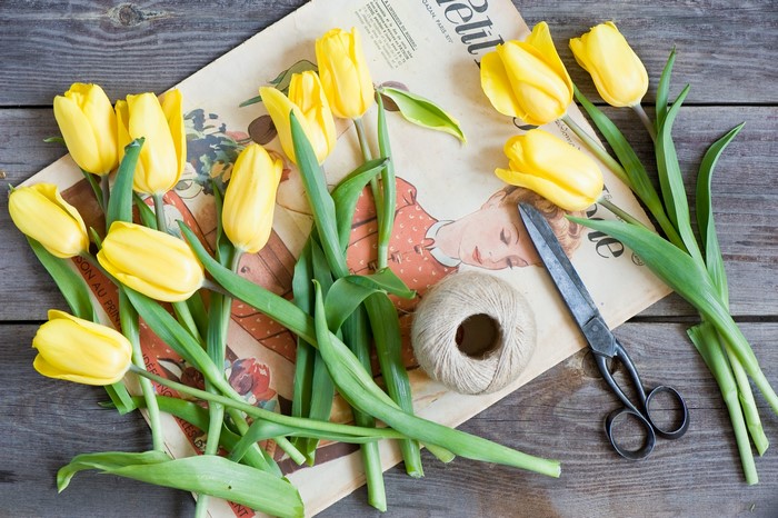 Yellow tulips on a vintage magazine with scissors and twine