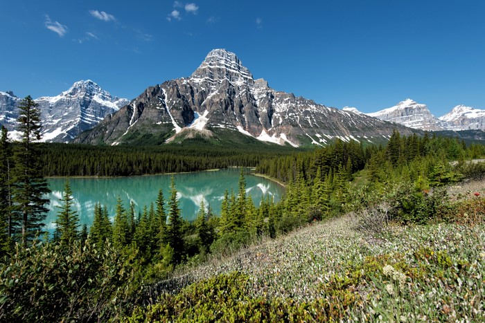 Mountaintop Lake and Forest in Banff National Park, Canada