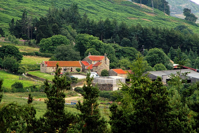 Stone farm buildings with red roofs in a green landscape
