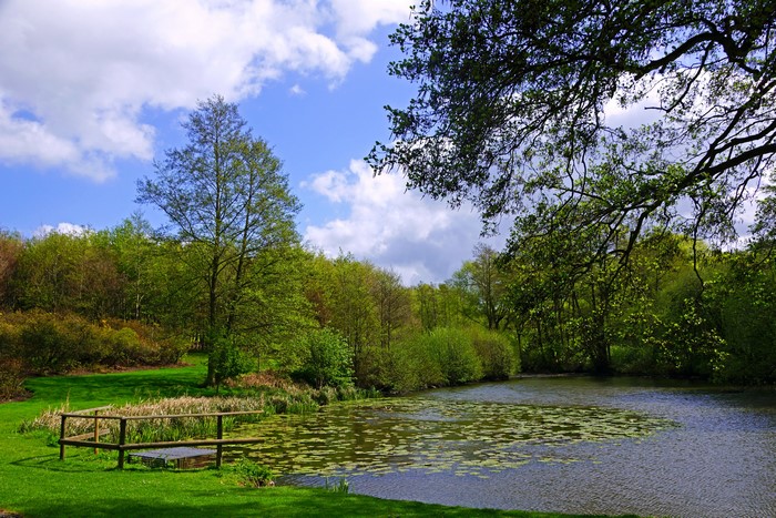 Pond and trees in Leeds Castle gardens, England