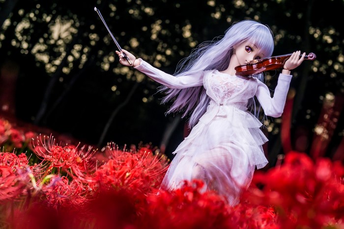 Doll playing violin in red flowers