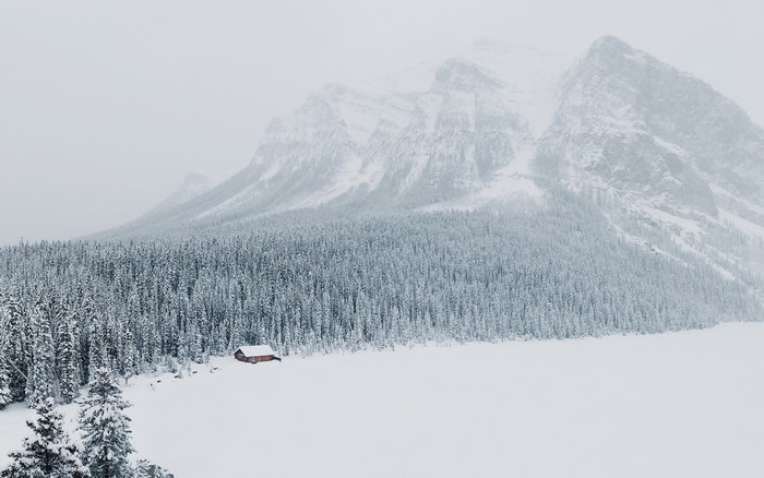 4K Winter Mountains and Forest with Cabin