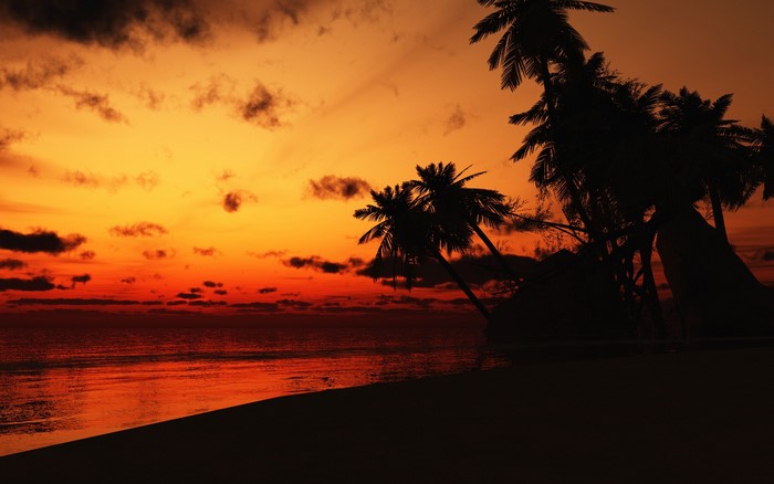 Sunset over the ocean with palm trees
