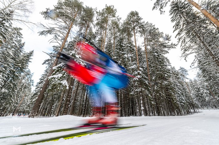 Biathlete skiing through a snowy forest