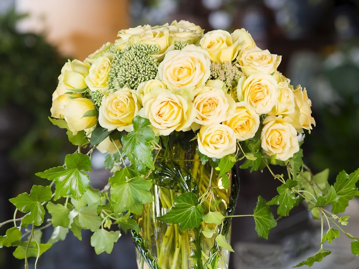 Yellow roses and ivy in a vase