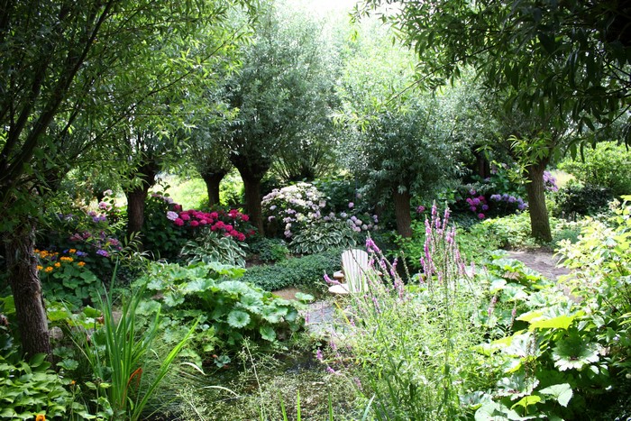 Garden with trees and flowers in Appeltern Gardens, Netherlands